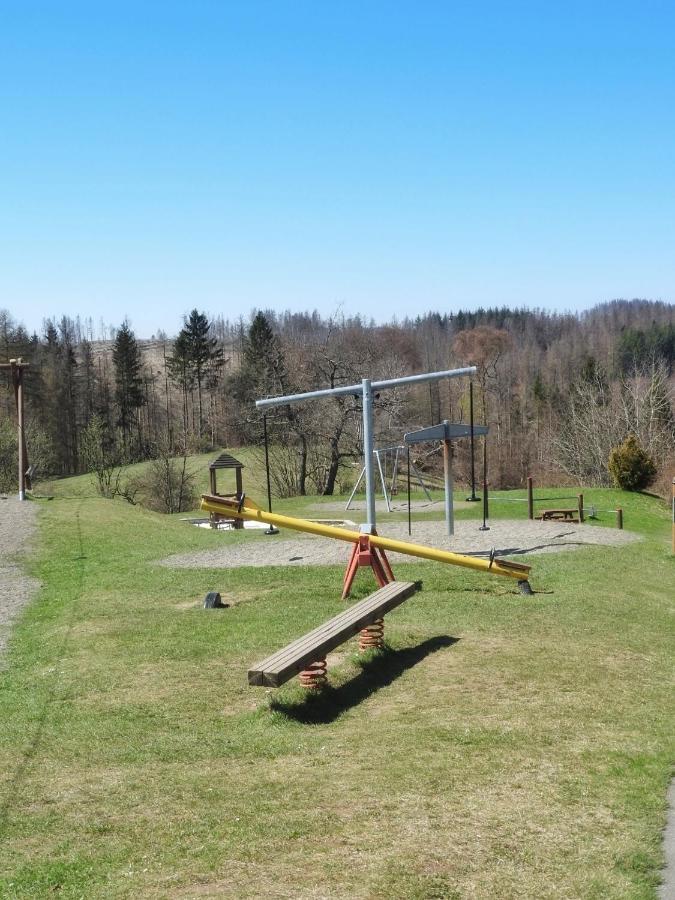 Appartement Zur Bergoase Mi Schwimmbad Hohegeiß Extérieur photo