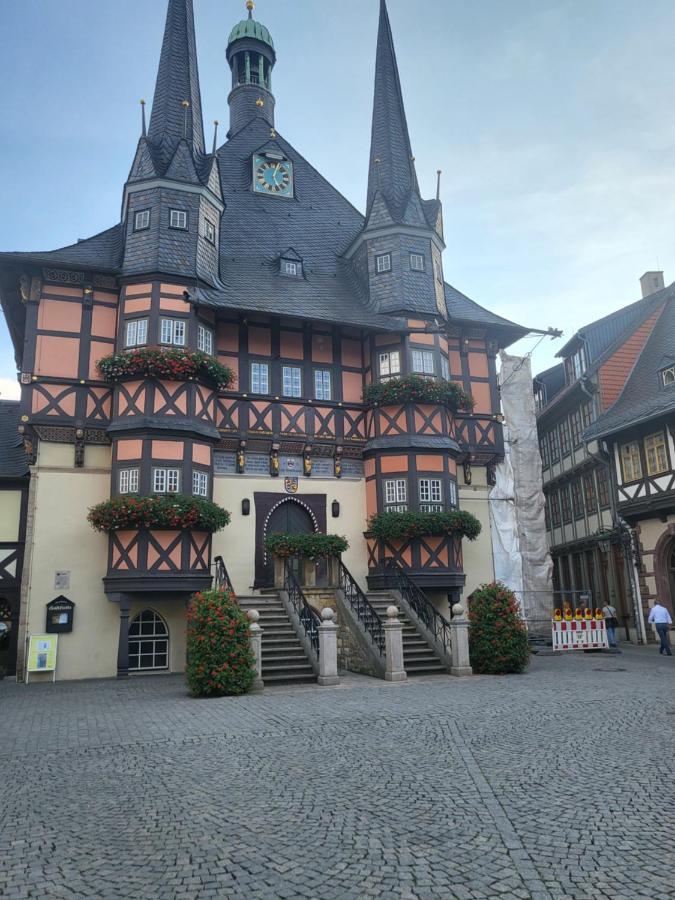 Appartement Zur Bergoase Mi Schwimmbad Hohegeiß Extérieur photo