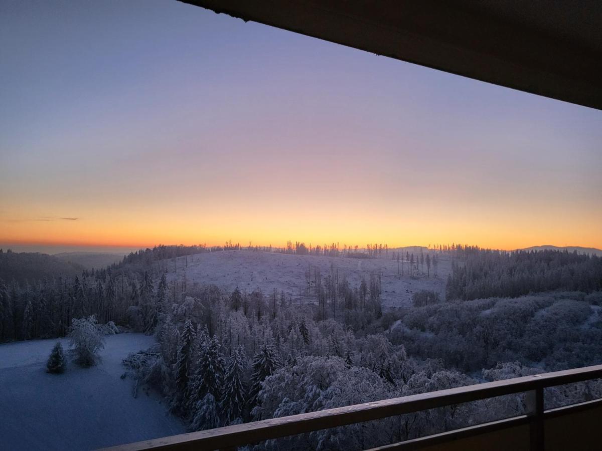 Appartement Zur Bergoase Mi Schwimmbad Hohegeiß Extérieur photo